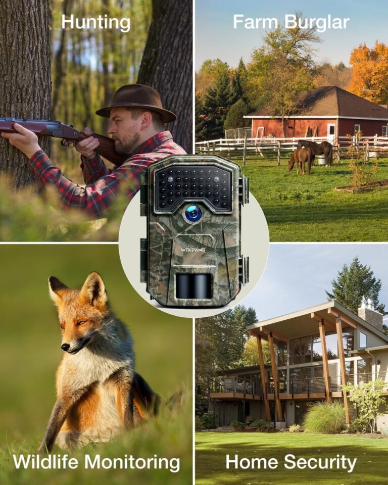 Dji Osmo 360 Standard Combo 360 Action Camera