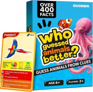 Quokka Kids Card Games For 6 8 Year Olds Educational Games For Families
