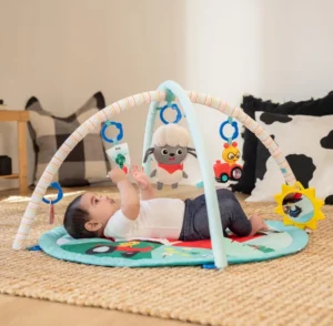 Baby Einstein Farm Explorers Happy Harvest Touch And Feel