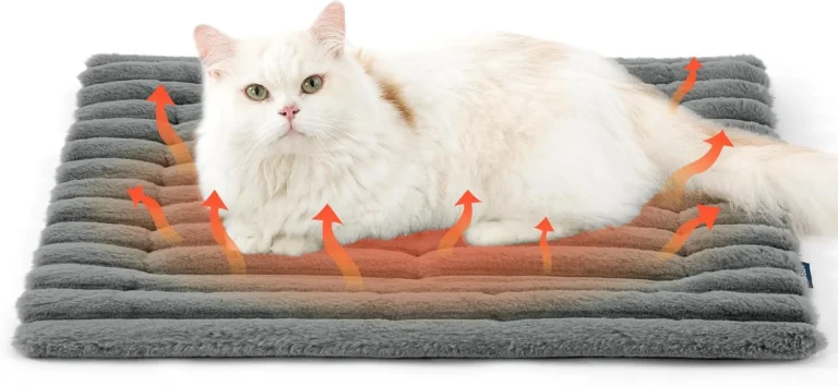 Bedsure Self Heating Cat Bed Washable Small Cat Blanket 61x46cm Grey