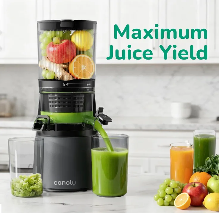 Canoly 3 In 1 Cold Press Juicer Machines 150mm Feed Chute Slow Juicer