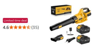 Cordless Leaf Blower Jygmpro 21 V With 2 X 4 0 Ah Batteries
