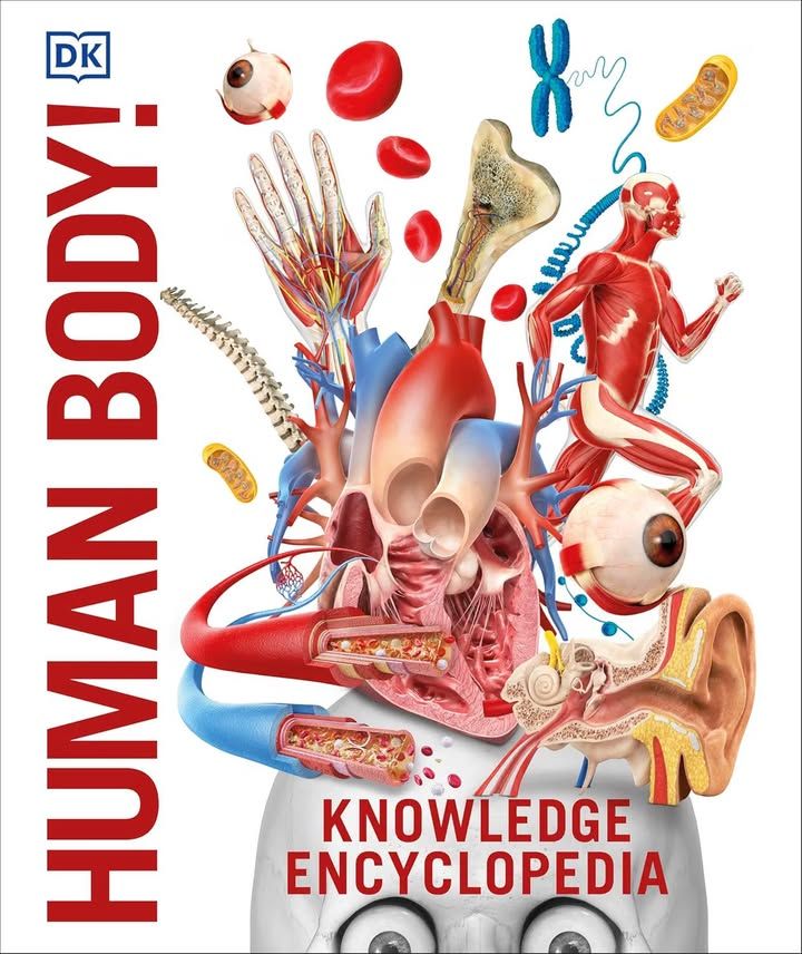 knowledge-encyclopedia-human-body-knowledge-encyclopedias-human-anatomy-as-you-v-0241286859