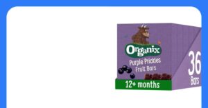 Organix Gruffalo Purple Prickles Blackcurrant Fruit Bars 6 X 6 X 17 G