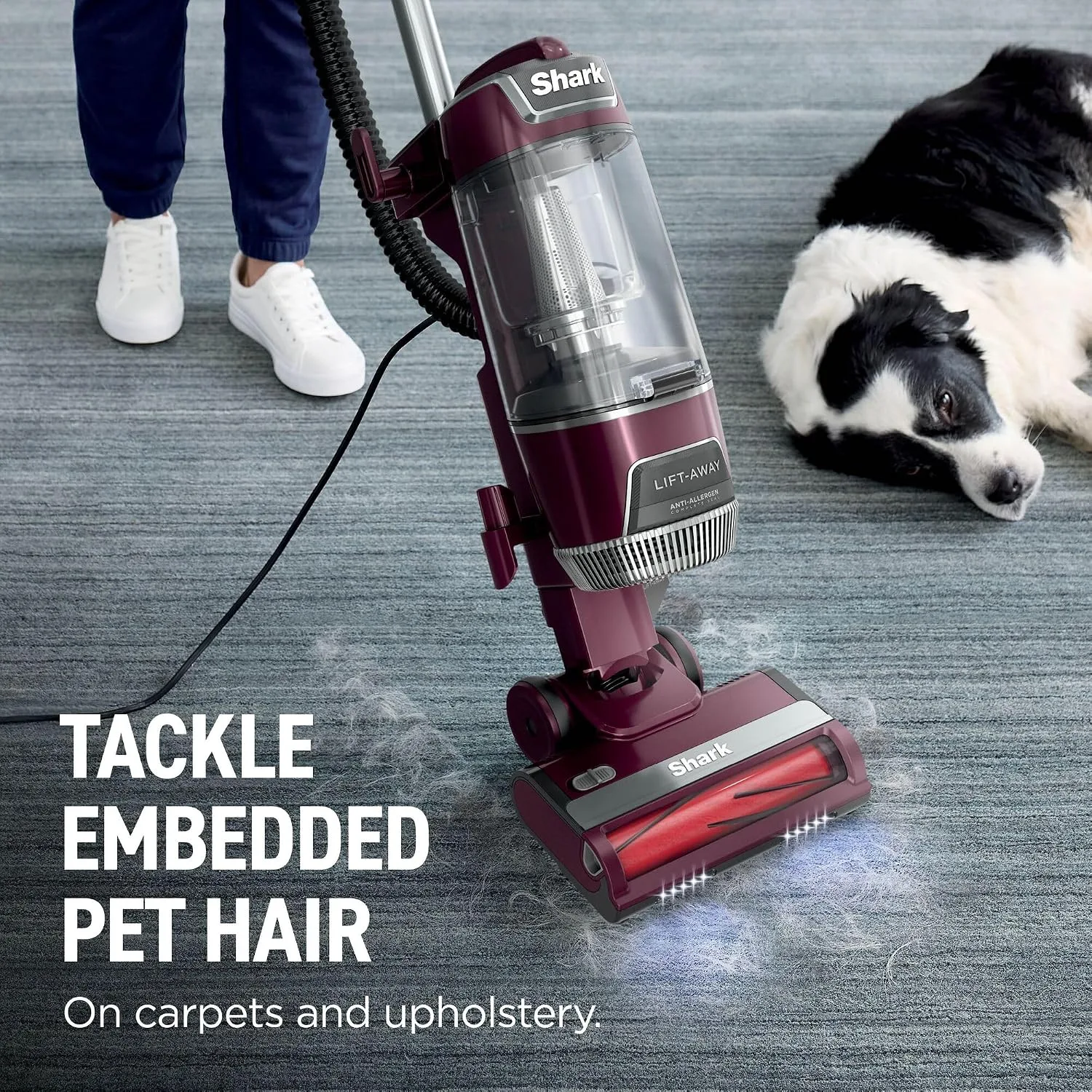 Shark Corded Upright Vacuum Cleaner With Lift Away Technology Anti Hair Wrap Plu