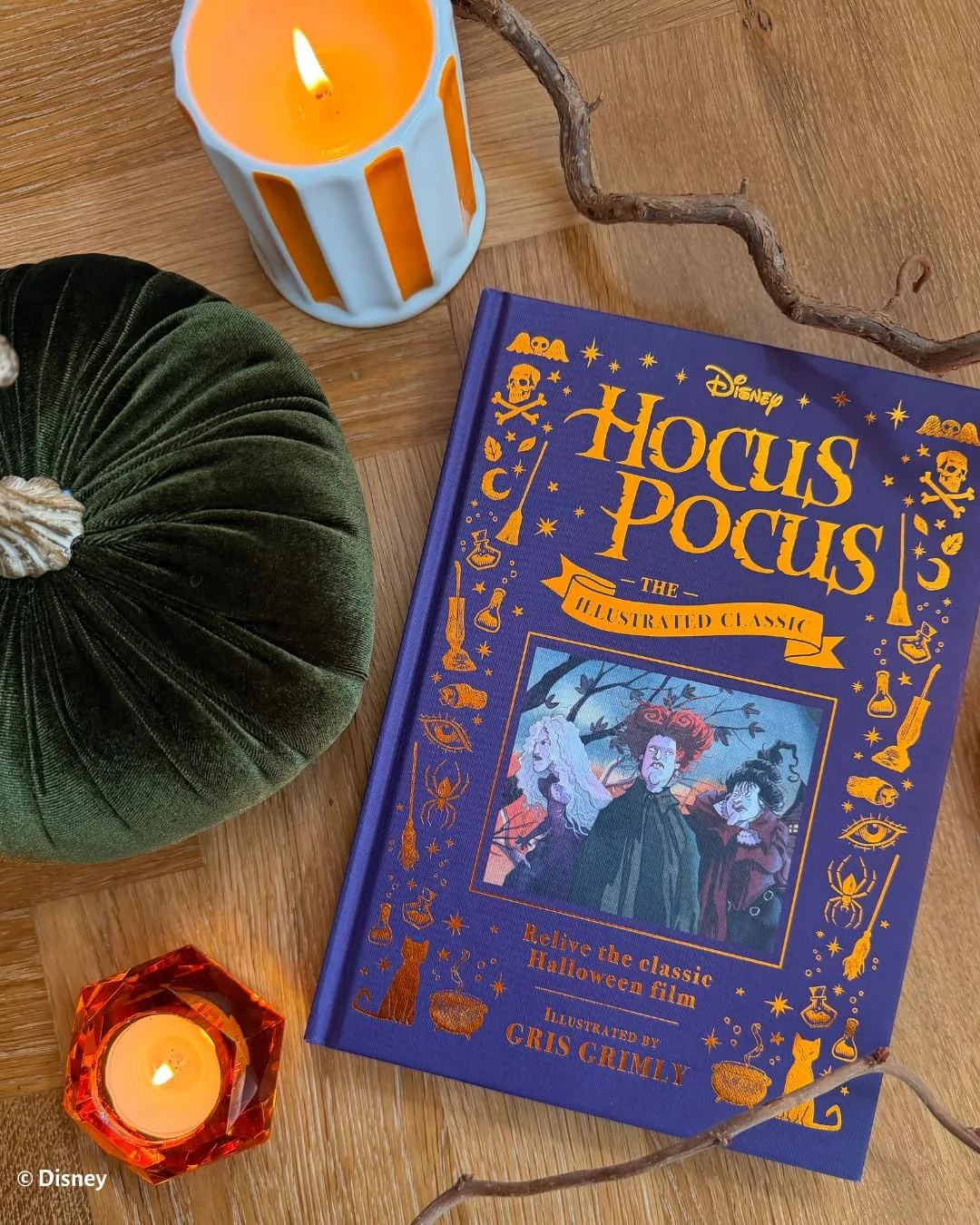 disney-hocus-pocus-the-illustrated-classic-relive-the-classic-halloween-film-1835870252