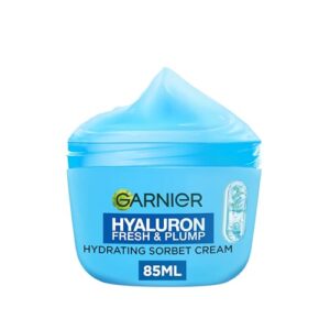 Garnier Hyaluron Fresh And Plump Hydrating Sorbet Cream With Niacinamide 85ml