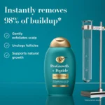 OGX ProGrowth + Peptide Clarifying Shampoo, Gentle Exfoliating Shampoo, Supports Natural Hair Growth by Removing Scalp Build-Up, 1.5% Mandelic Acid, LipiPro Shield™, 385ml