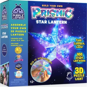 Purple Ladybug Prismic Make Your Own Light Up 3d Prismatic Star Craft Kit Early