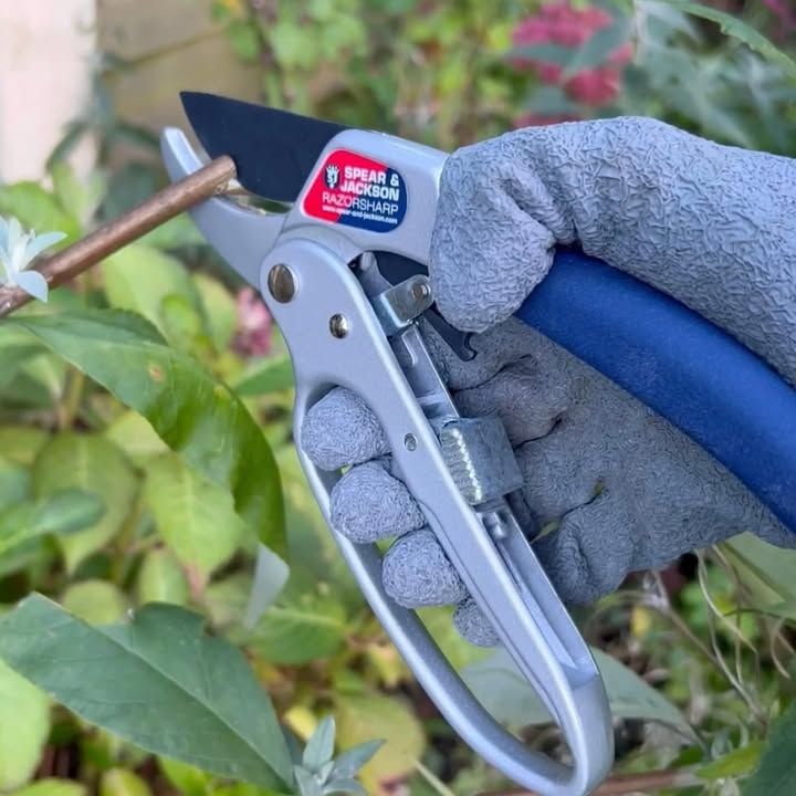 Spear And Jackson 6358rs Razorsharp Ratchet Anvil Secateurs